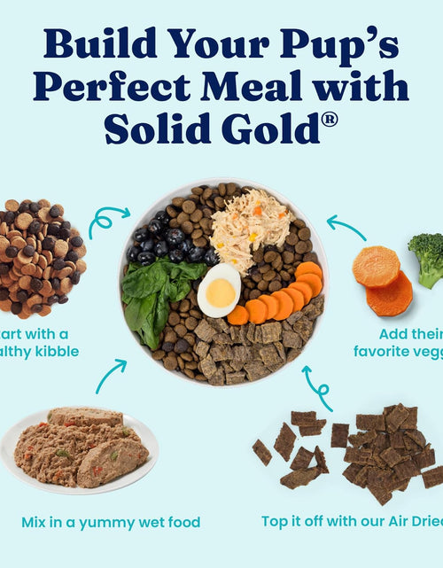 Load image into Gallery viewer, Solid Gold Weight Management Dog Food - Fit &amp; Fabulous Wet Grain Free Dog Food Made with Real Chicken, Sweet Potato and Green Bean - for Weight Control and Dogs with Sensitive Stomachs
