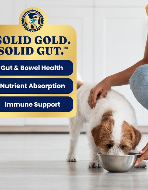 Load image into Gallery viewer, Solid Gold Weight Management Dog Food - Fit &amp; Fabulous Wet Grain Free Dog Food Made with Real Chicken, Sweet Potato and Green Bean - for Weight Control and Dogs with Sensitive Stomachs
