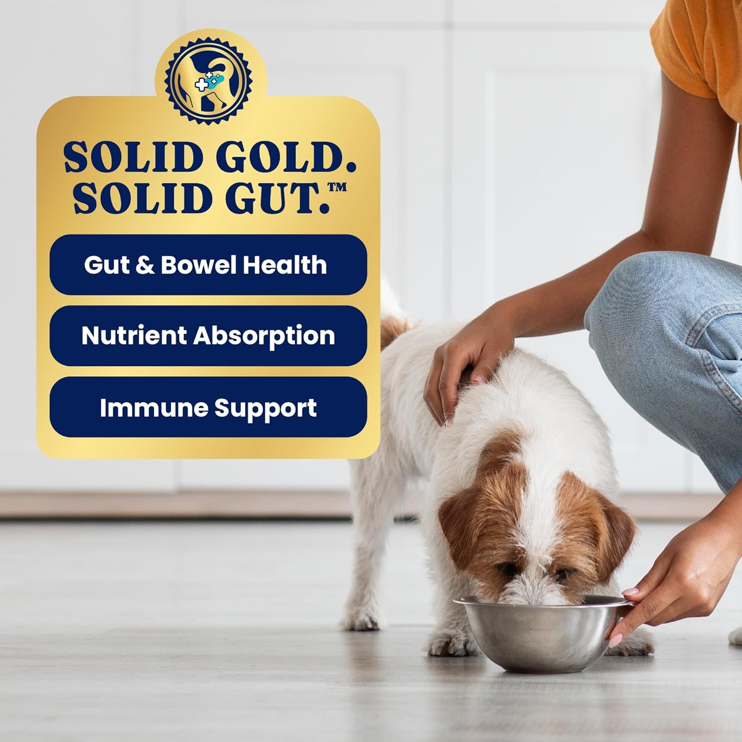 Solid Gold Weight Management Dog Food - Fit & Fabulous Wet Grain Free Dog Food Made with Real Chicken, Sweet Potato and Green Bean - for Weight Control and Dogs with Sensitive Stomachs